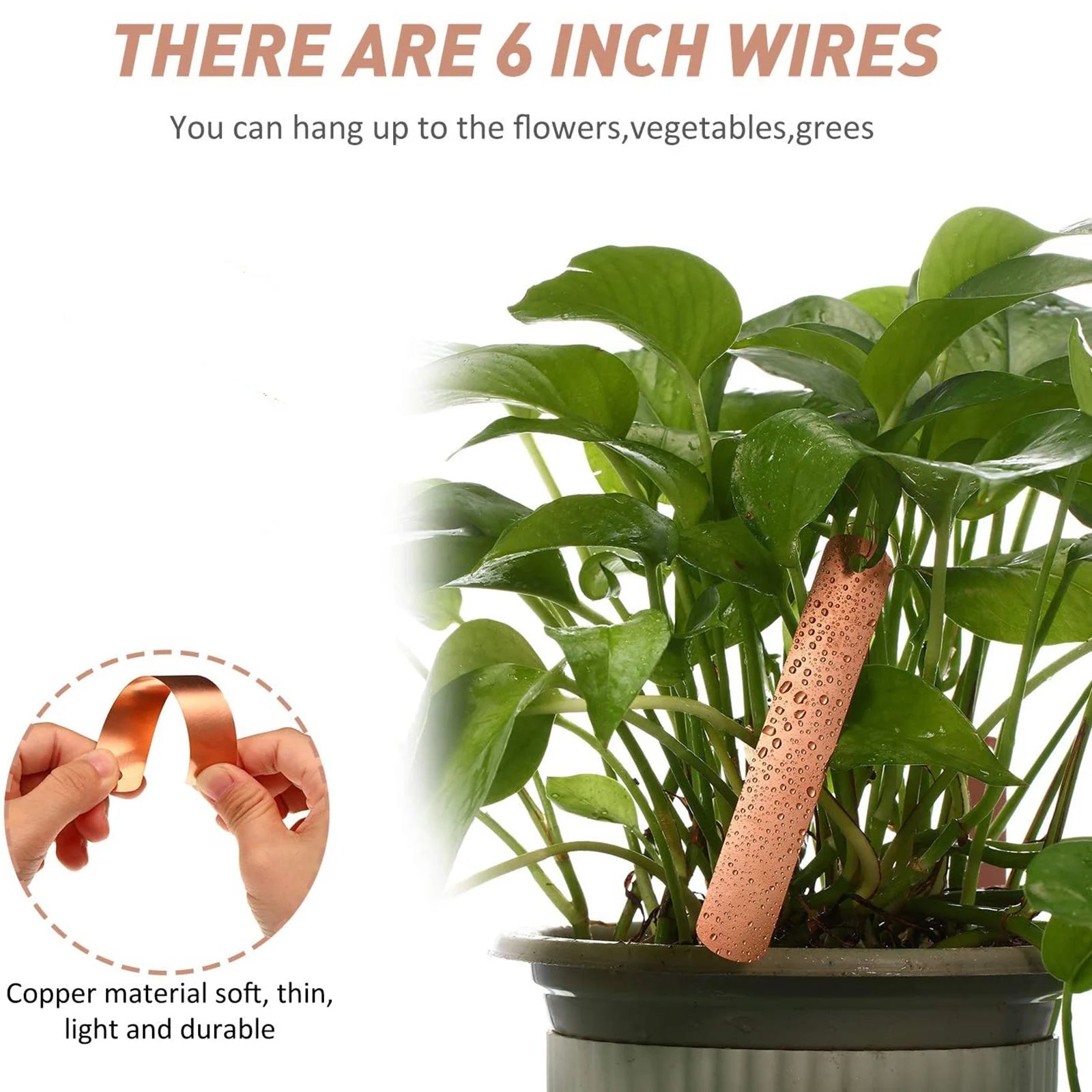 Garden Plant Labels Sapling Label Stamping Plant Tags Markers Stakes Copper Plate Metal Plant Labels Waterproof Garden Planting