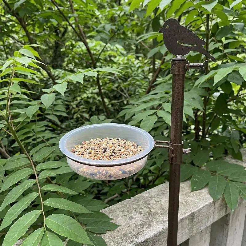 Bird Feed Bowl Transparent Circular Bird Feeder Imple Bird Comfortable Supplies Eating Environment And Fashionable Provide