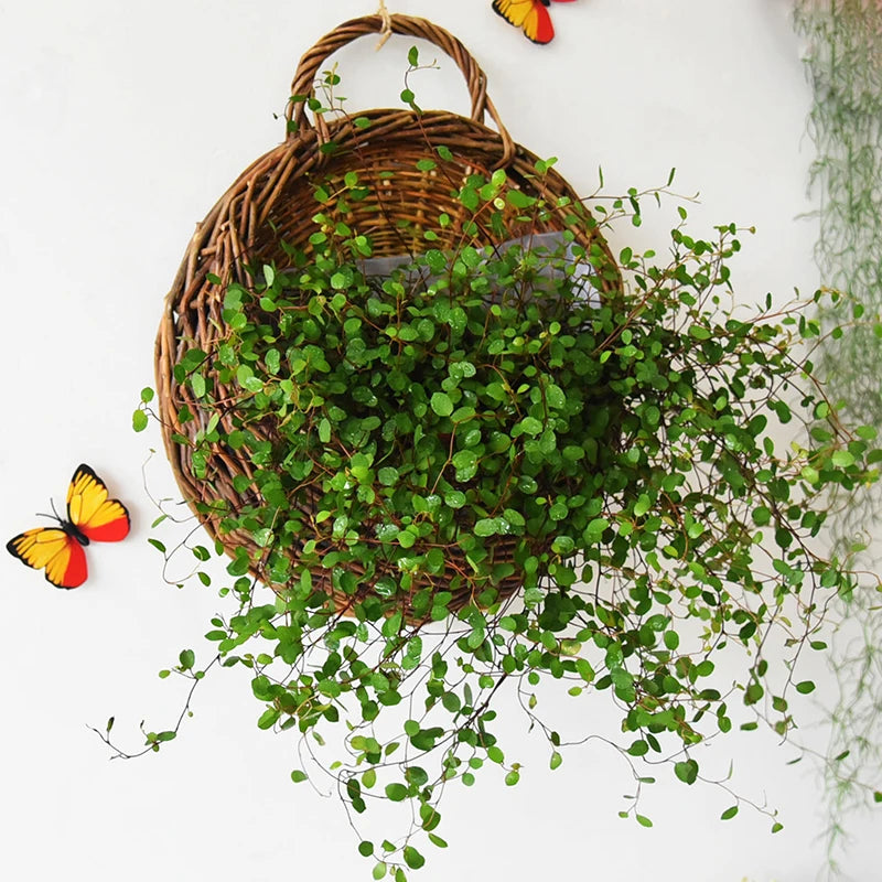 Hand Made Wicker Rattan Flower Planter Wall Hanging Wicker Rattam Basket Garden Vine Pot Plants Holder Wall Planter Home Decor