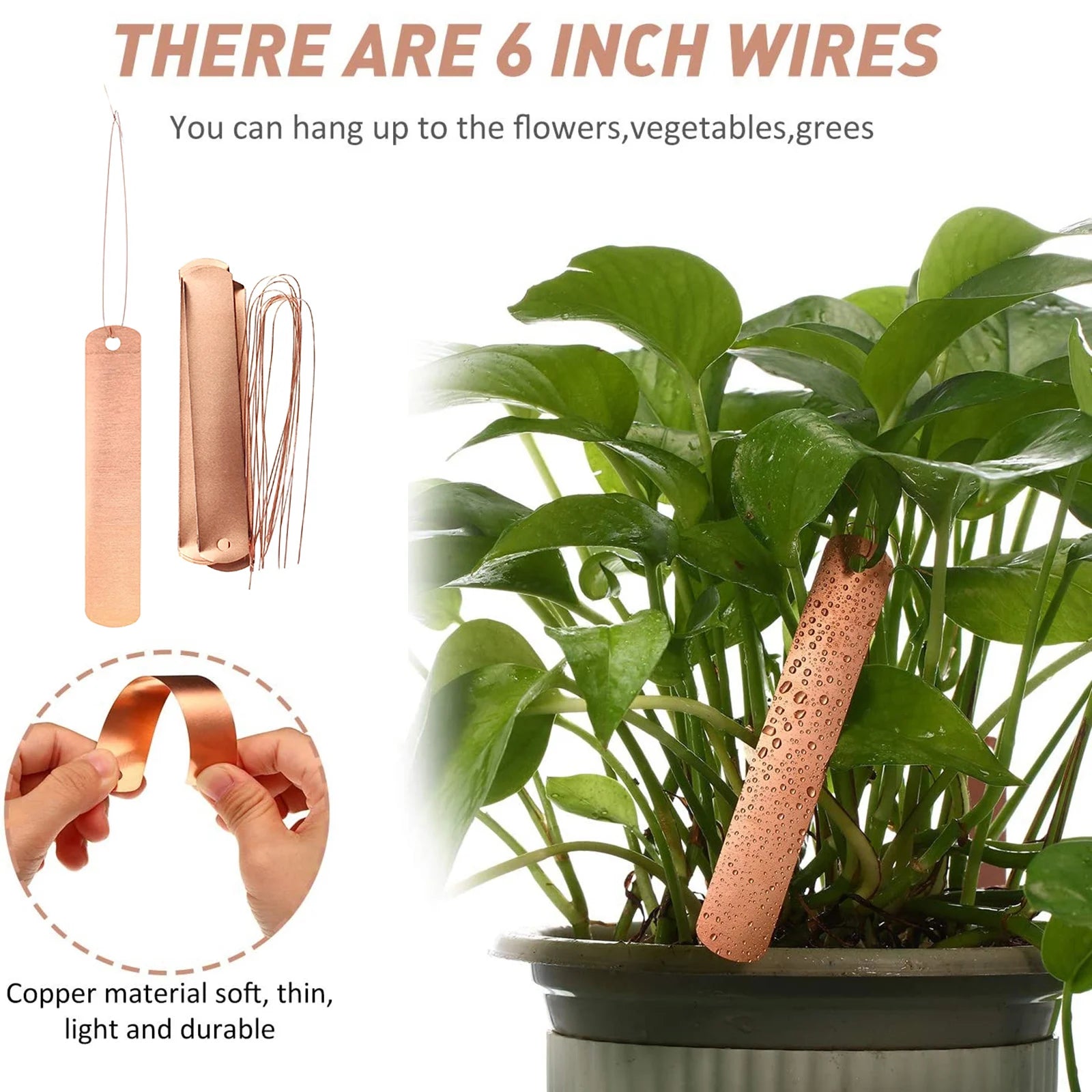 Garden Plant Labels Sapling Label Stamping Plant Tags Markers Stakes Copper Plate Metal Plant Labels Waterproof Garden Planting