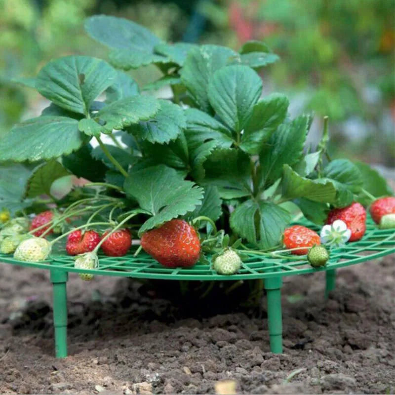Strawberry Planting Frame Stand Holder Balcony Rack Farming Fruit Support Plant Flower Climbing Vine Pillar Gardening