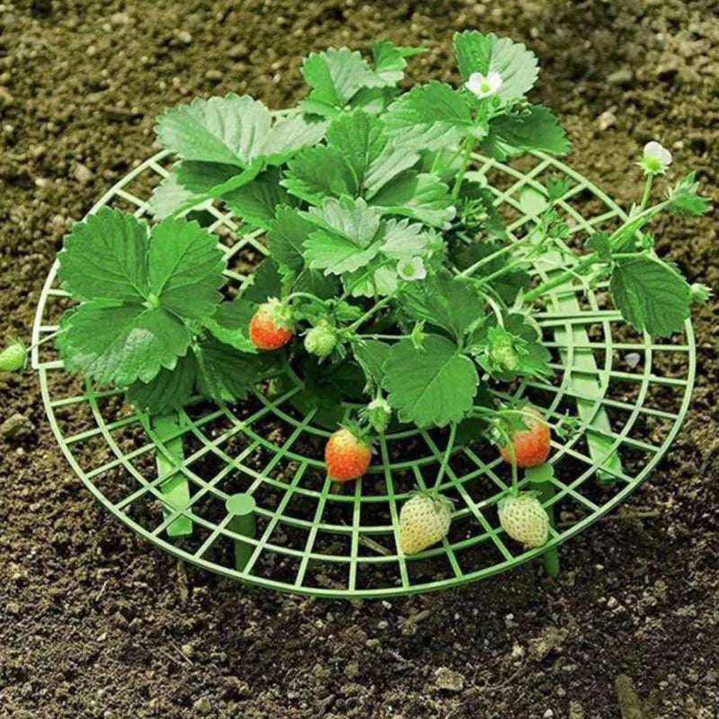Strawberry Planting Frame Stand Holder Balcony Rack Farming Fruit Support Plant Flower Climbing Vine Pillar Gardening
