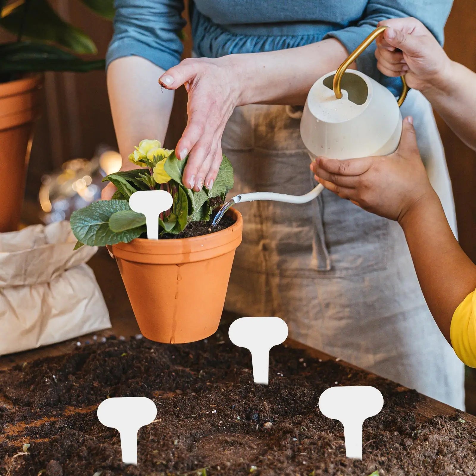 Plant Labeling Tags Garden Writable Sturdy Markers Gardening Friuts Vegetable Label Tags for  Nurseries and Potted Plants