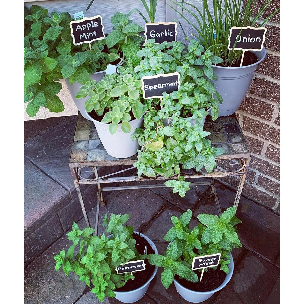 10Pcs Wood Chalkboard Plant Tag, Wooden Stakes Plant Labels Blackboard Garden Tags