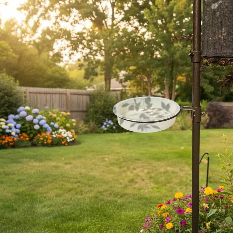 Bird Feed Bowl Transparent Circular Bird Feeder Imple Bird Comfortable Supplies Eating Environment And Fashionable Provide