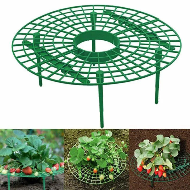 Strawberry Planting Frame Stand Holder Balcony Rack Farming Fruit Support Plant Flower Climbing Vine Pillar Gardening