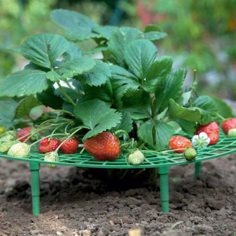 Strawberry Planting Frame Stand Holder Balcony Rack Farming Fruit Support Plant Flower Climbing Vine Pillar Gardening