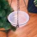 Bird Feed Bowl Transparent Circular Bird Feeder Imple Bird Comfortable Supplies Eating Environment And Fashionable Provide