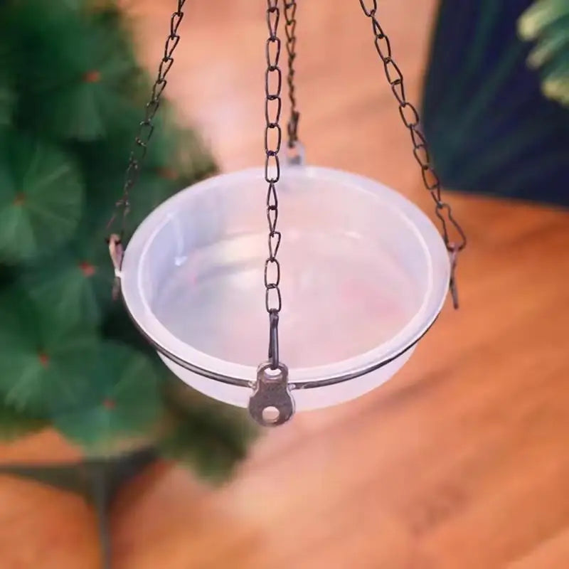 Bird Feed Bowl Transparent Circular Bird Feeder Imple Bird Comfortable Supplies Eating Environment And Fashionable Provide