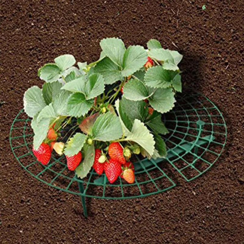 Strawberry Planting Frame Stand Holder Balcony Rack Farming Fruit Support Plant Flower Climbing Vine Pillar Gardening
