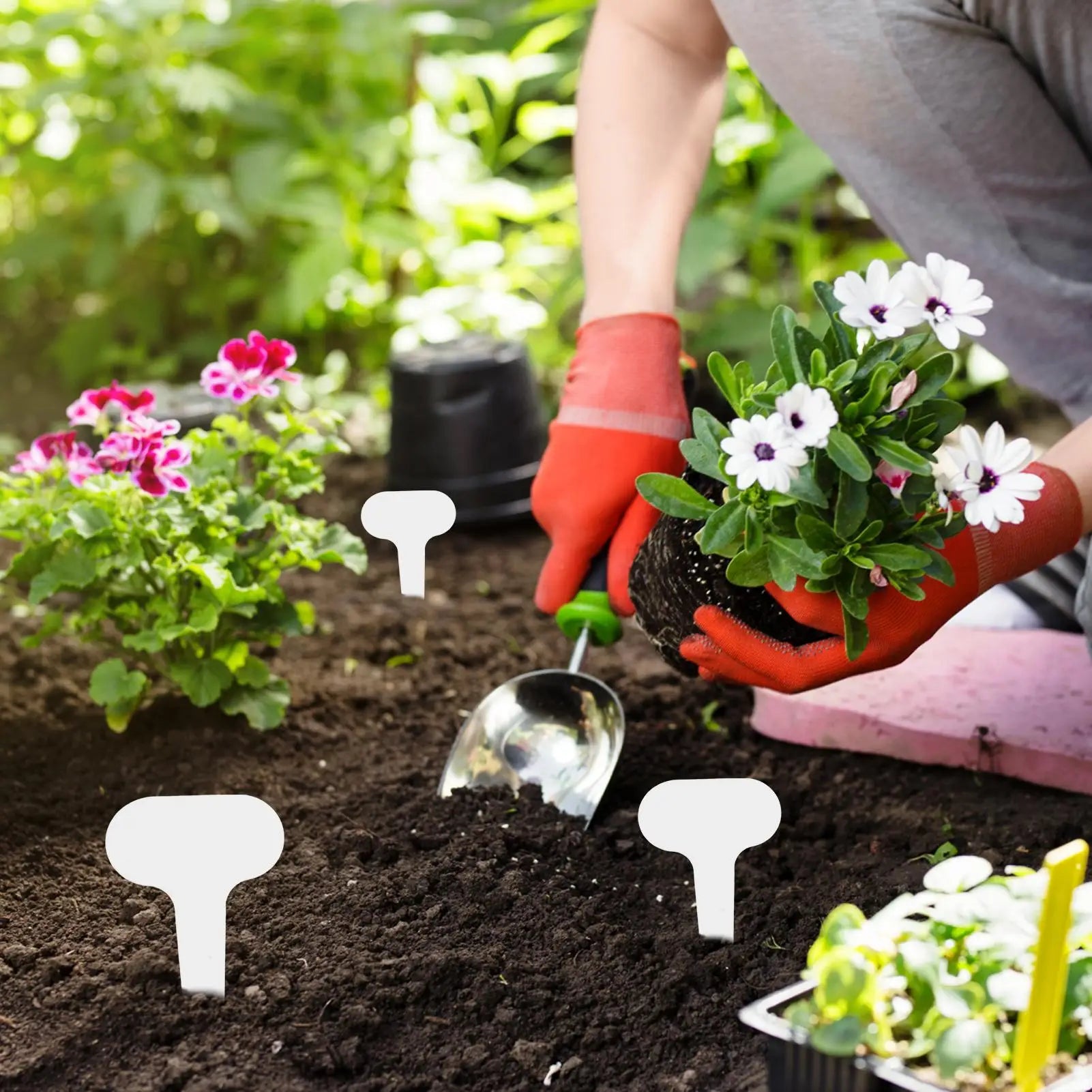 Plant Labeling Tags Garden Writable Sturdy Markers Gardening Friuts Vegetable Label Tags for  Nurseries and Potted Plants